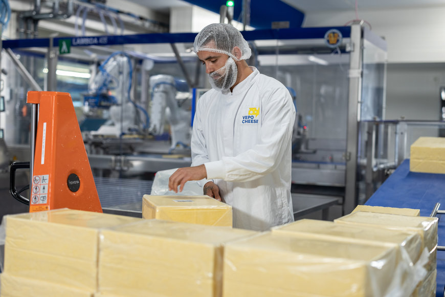Die niederländische Familienmarke Vepo Cheese setzt auf eine vollauto-matisierte Produktionslinie: Zwei KR AGILUS Hygieneroboter von KUKA verarbeiten Käse zu Sticks und führen sie einer Verpackungsmaschine zu
